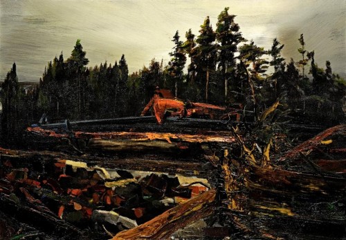 Wound in the Forest