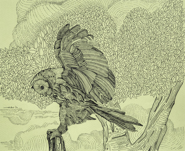 ORPHEUS