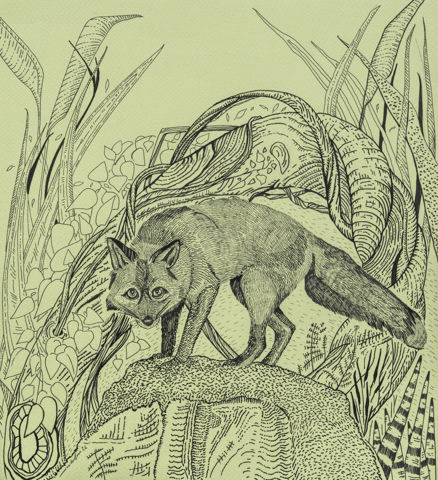 ORPHEUS